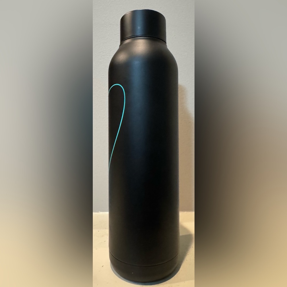Disney Parks The Nightmare Before Christmas Sally Stainless Steel Water Bottle - Picture 4 of 8